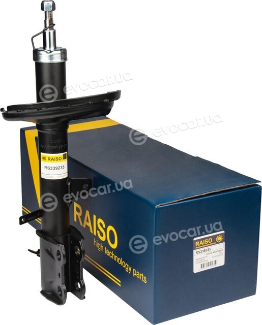 Raiso RS339235