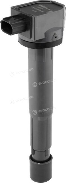 BorgWarner ZSE304