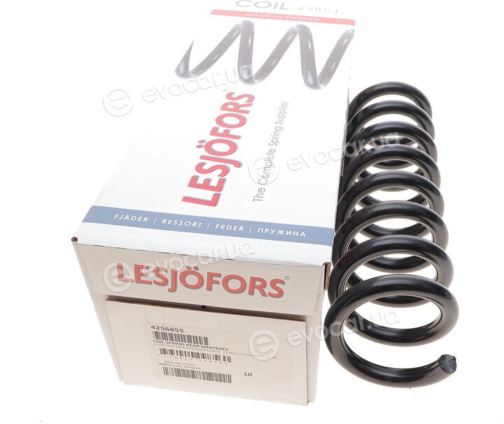 Lesjofors 4256855