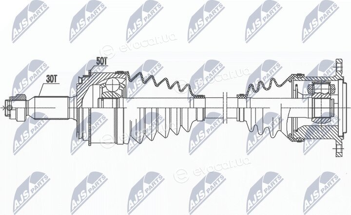 NTY NPW-MS-081