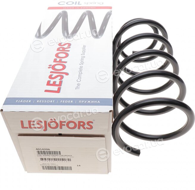 Lesjofors 4014206