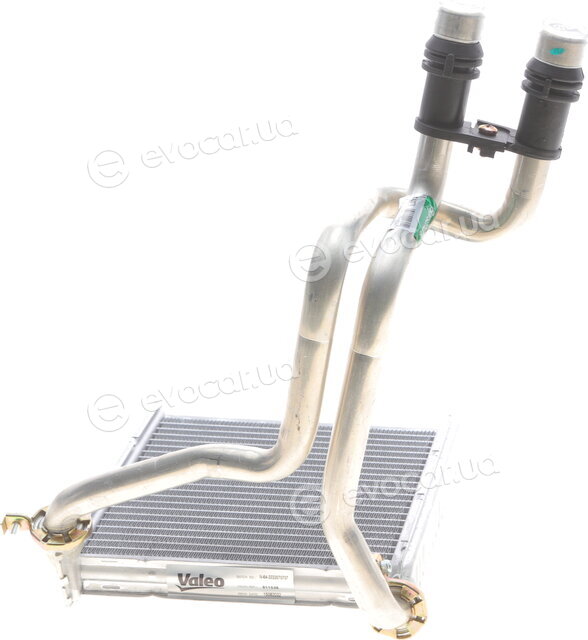 Borsehung B10876