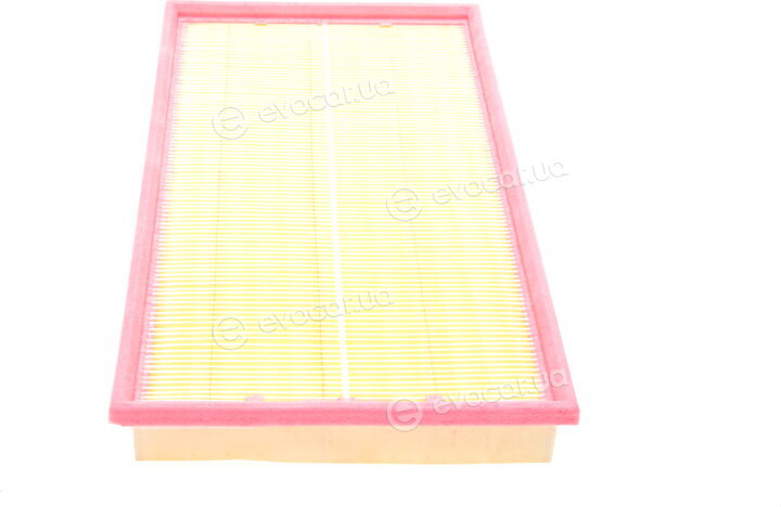 Solgy 103061