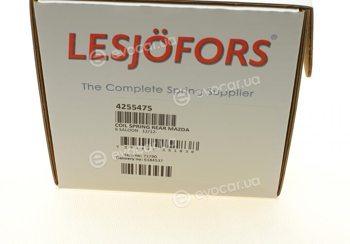 Lesjofors 4255475