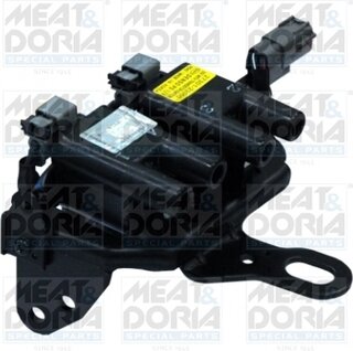 Meat & Doria 10597