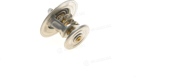 Wahler / BorgWarner 4264.84D