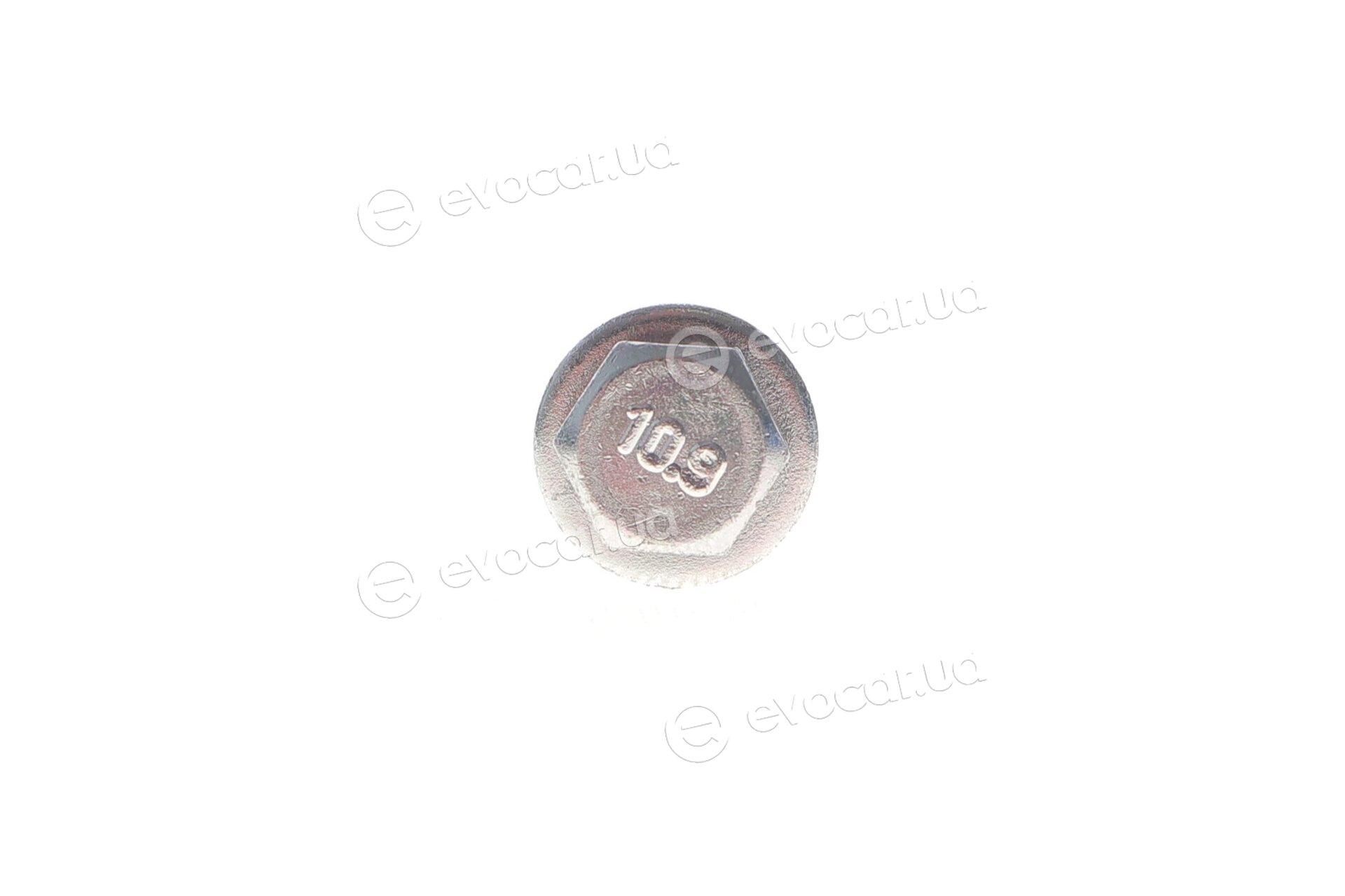 Solgy 204215