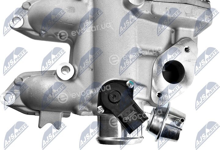 NTY EGR-FR-015