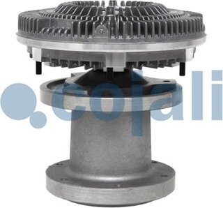 Cojali 7033801