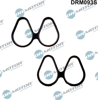 Dr. Motor DRM093S