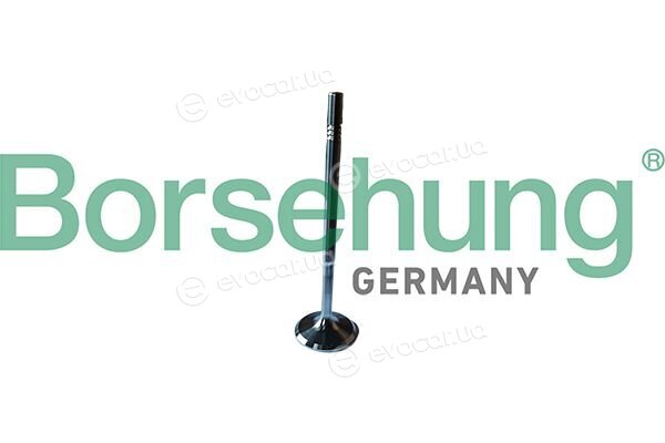 Borsehung B13246