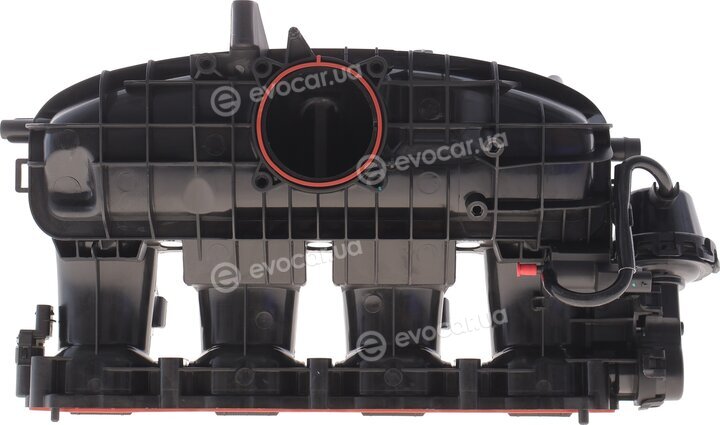 Solgy 114301