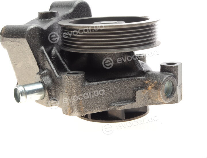 Hepu P1203