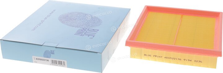 Blue Print ADG022136