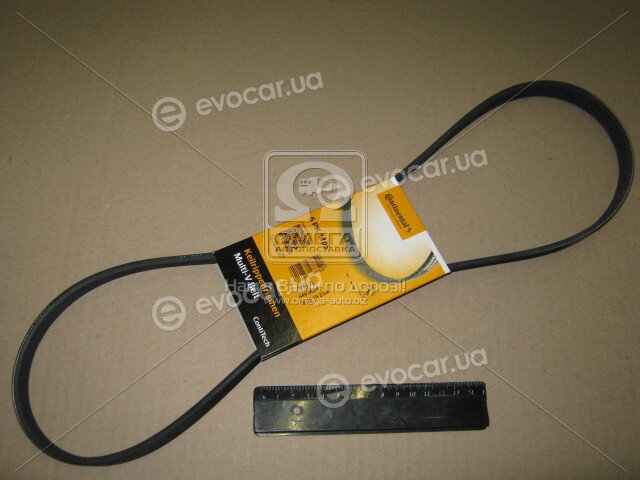 Continental 5PK1105