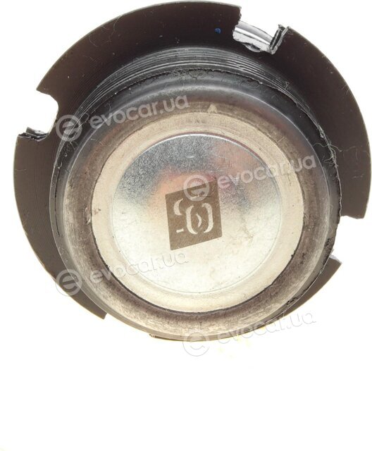 Solgy 203073