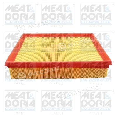 Meat & Doria 16569