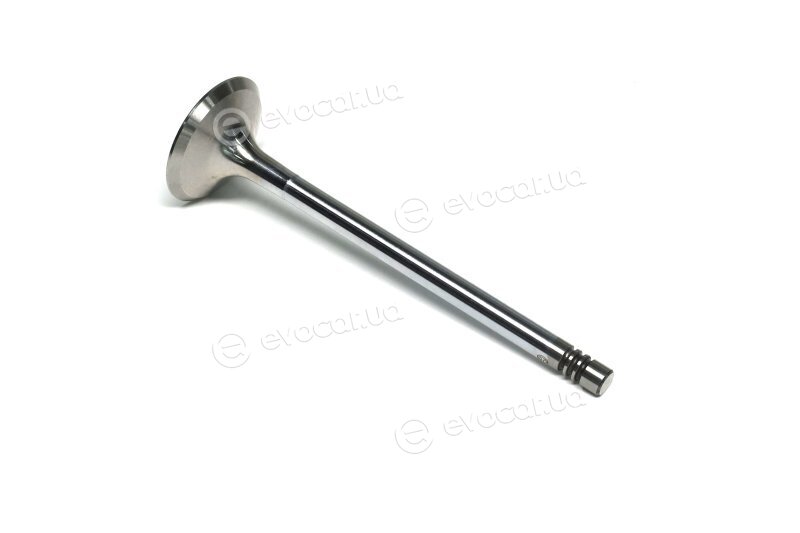 Gunes 6040