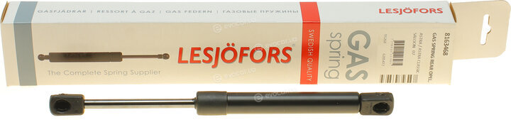 Lesjofors 8163468
