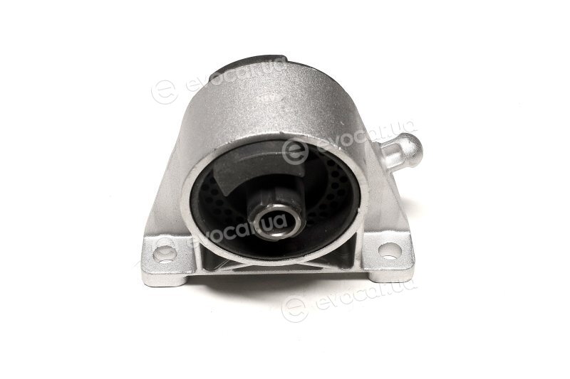Sasic 9002476