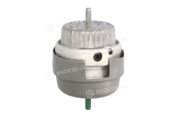 Reinhoch RH11-0078
