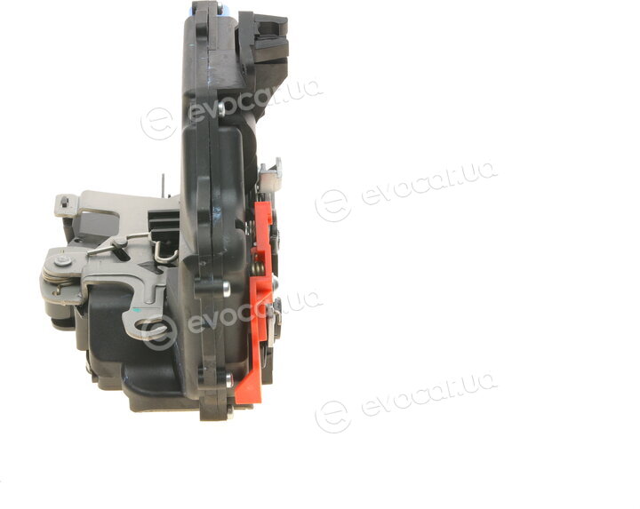 AIC 52981