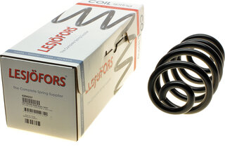 Lesjofors 4204257