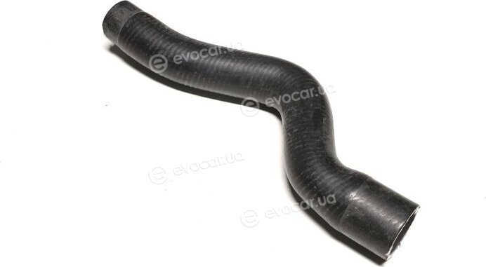 Sasic 3400062
