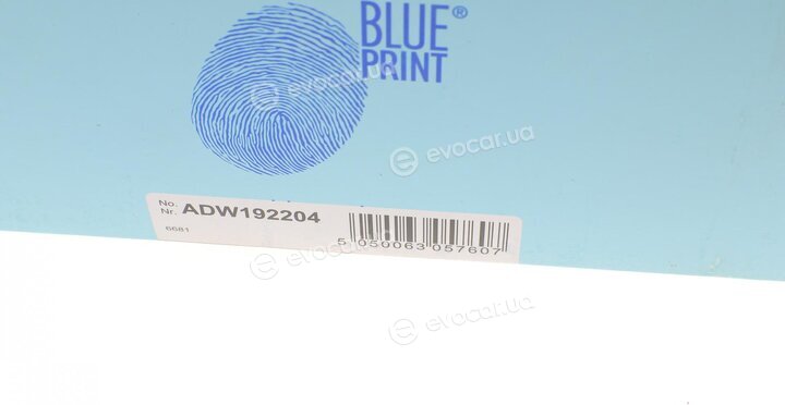 Blue Print ADW192204