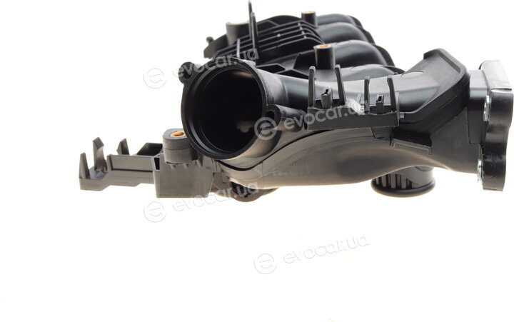 AIC 57686