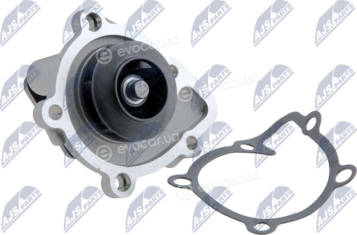 NTY CPW-CH-011