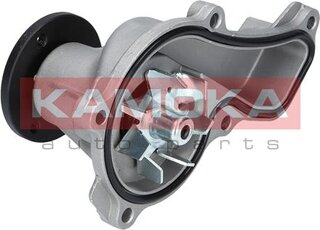 Kamoka T0151