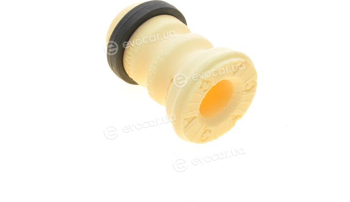 Borsehung B10024