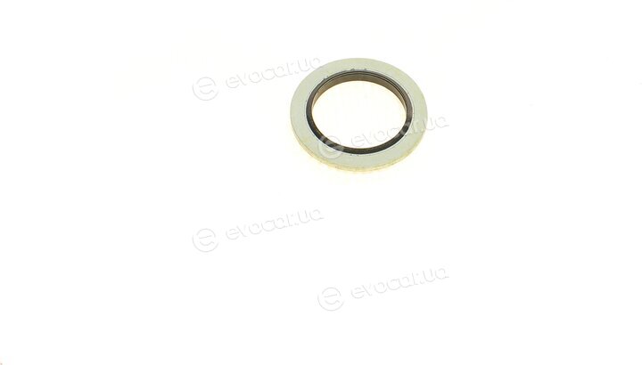 Elring 506.540