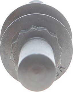 Victor Reinz 14-32279-01