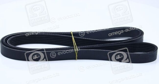 Dayco 6PK1885