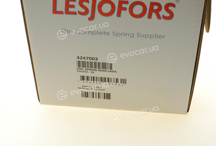 Lesjofors 4247003