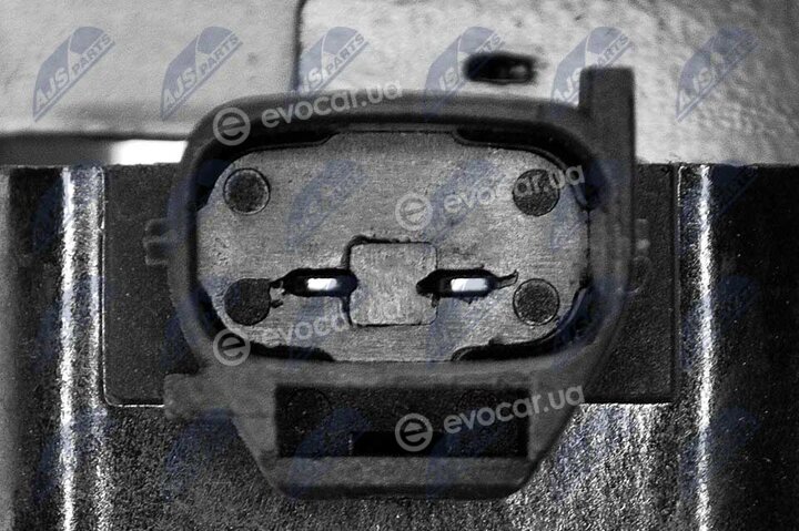 NTY ECZ-HY-501