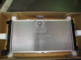AVA MZ2101