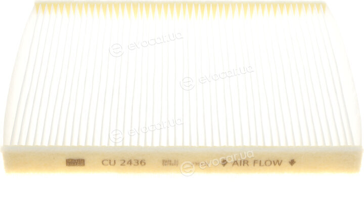 Mann CU 2436