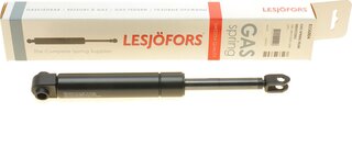 Lesjofors 8156804