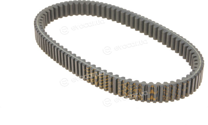 Dayco XTX2205