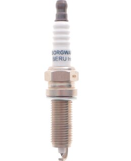 Beru Z544