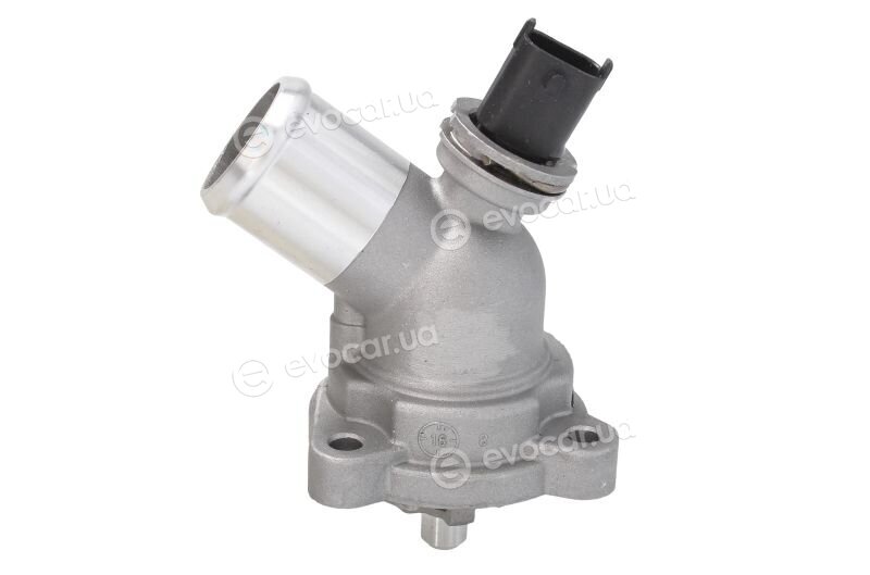 Mahle TM 43 105