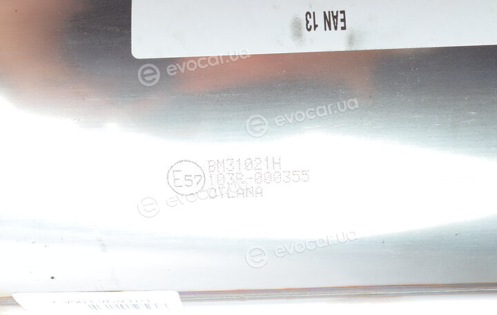 BM Catalysts BM31021H