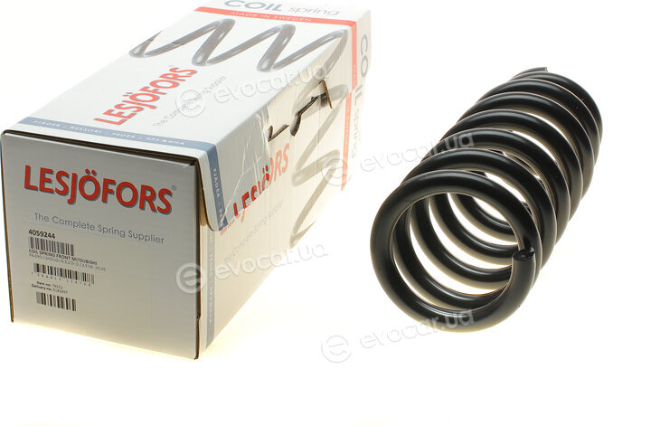 Lesjofors 4059244