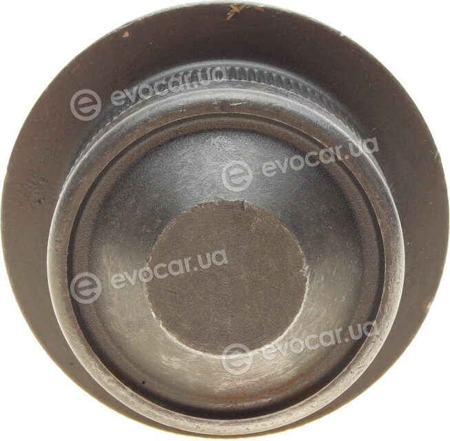 Kapimsan 23-06220