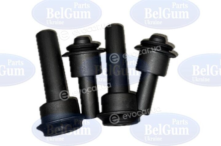 Belgum BGKIT-31