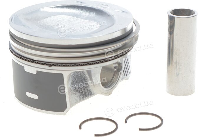 Mahle 028 PI 00118 000