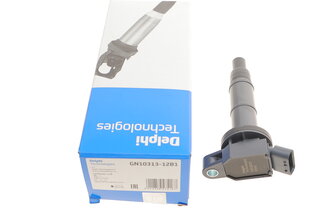 Delphi GN10313